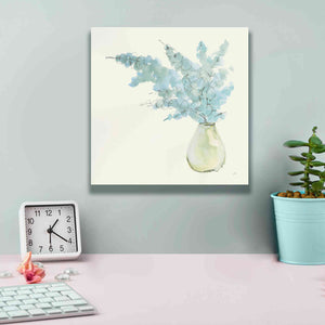 'Plant Eucalyptus I' by Chris Paschke, Giclee Canvas Wall Art,12 x 12