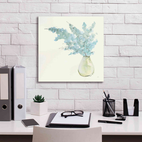 Image of 'Plant Eucalyptus I' by Chris Paschke, Giclee Canvas Wall Art,18 x 18