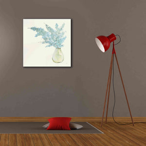'Plant Eucalyptus I' by Chris Paschke, Giclee Canvas Wall Art,26 x 26