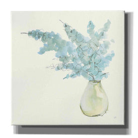 'Plant Eucalyptus I' by Chris Paschke, Giclee Canvas Wall Art