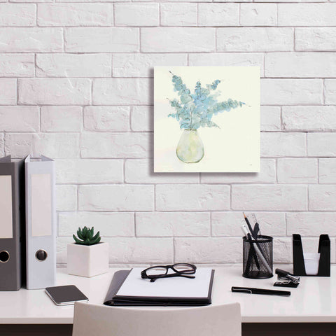 Image of 'Plant Eucalyptus II' by Chris Paschke, Giclee Canvas Wall Art,12 x 12