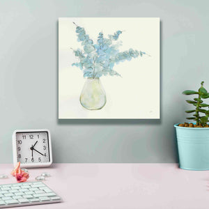 'Plant Eucalyptus II' by Chris Paschke, Giclee Canvas Wall Art,12 x 12