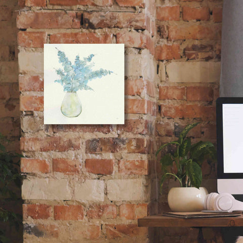 Image of 'Plant Eucalyptus II' by Chris Paschke, Giclee Canvas Wall Art,12 x 12
