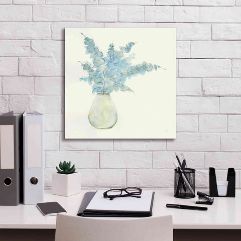 Image of 'Plant Eucalyptus II' by Chris Paschke, Giclee Canvas Wall Art,18 x 18