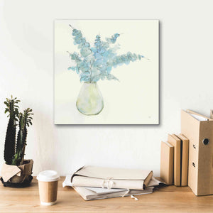 'Plant Eucalyptus II' by Chris Paschke, Giclee Canvas Wall Art,18 x 18