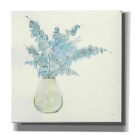 'Plant Eucalyptus II' by Chris Paschke, Giclee Canvas Wall Art