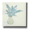'Plant Eucalyptus II' by Chris Paschke, Giclee Canvas Wall Art