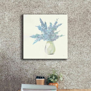 'Plant Eucalyptus III' by Chris Paschke, Giclee Canvas Wall Art,18 x 18