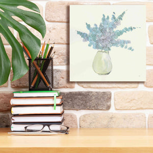 'Plant Eucalyptus IV' by Chris Paschke, Giclee Canvas Wall Art,12 x 12