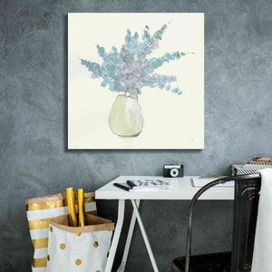 'Plant Eucalyptus IV' by Chris Paschke, Giclee Canvas Wall Art,26 x 26
