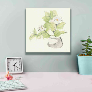 'Plant Magnolia I' by Chris Paschke, Giclee Canvas Wall Art,12 x 12
