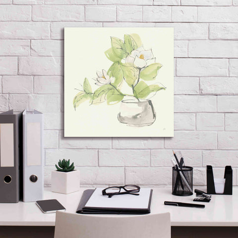 Image of 'Plant Magnolia I' by Chris Paschke, Giclee Canvas Wall Art,18 x 18