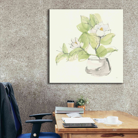 Image of 'Plant Magnolia I' by Chris Paschke, Giclee Canvas Wall Art,37 x 37