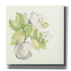 'Plant Magnolia II' by Chris Paschke, Giclee Canvas Wall Art
