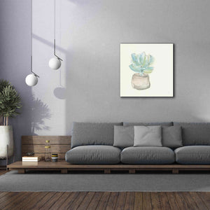 'Succulent I' by Chris Paschke, Giclee Canvas Wall Art,37 x 37