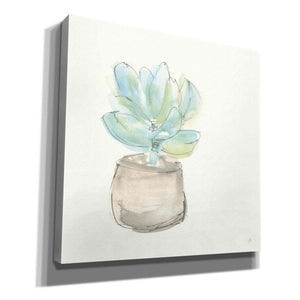 'Succulent I' by Chris Paschke, Giclee Canvas Wall Art