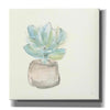 'Succulent I' by Chris Paschke, Giclee Canvas Wall Art