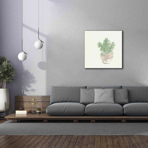 Image of 'Succulent II' by Chris Paschke, Giclee Canvas Wall Art,37 x 37