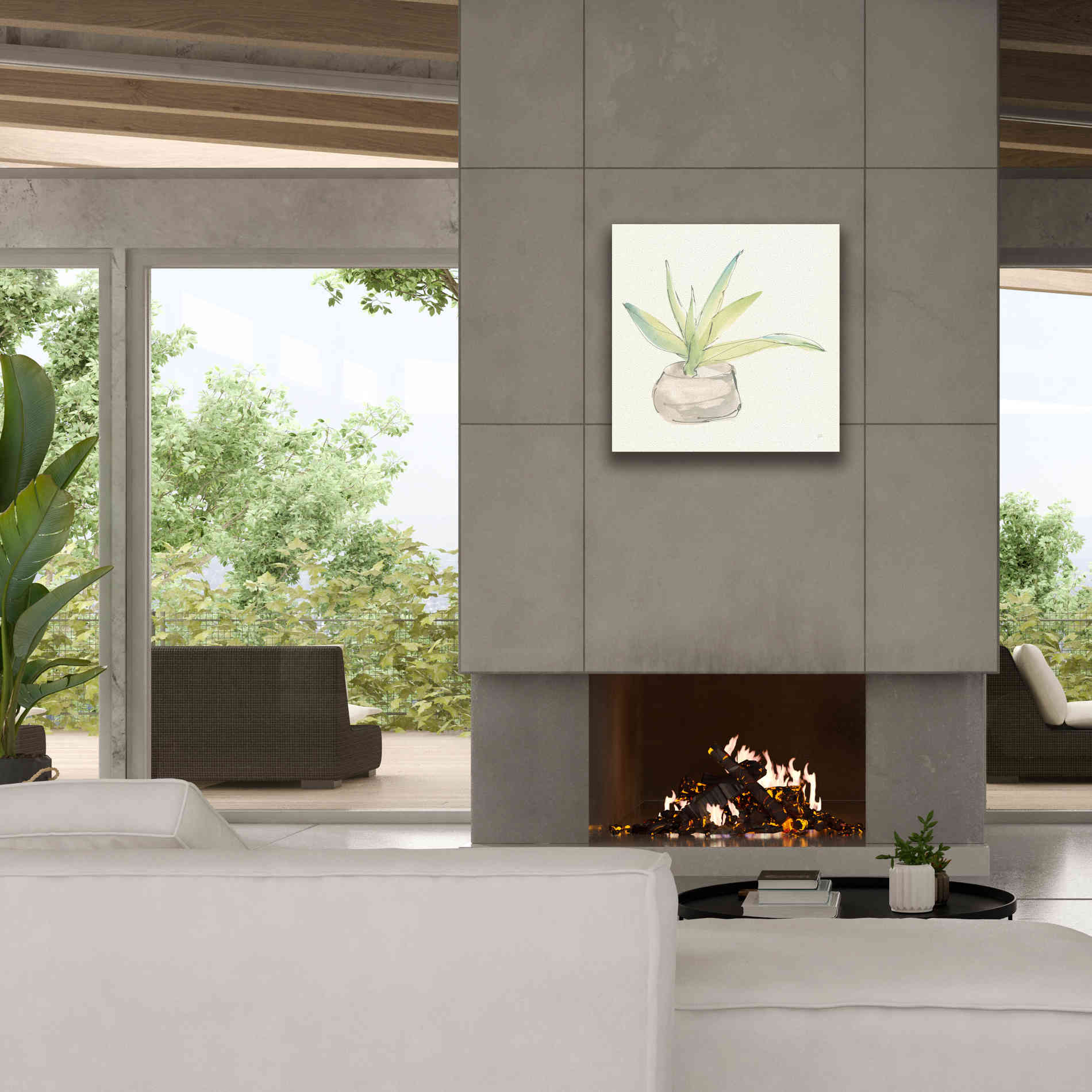 'Succulent III' by Chris Paschke, Giclee Canvas Wall Art,26 x 26