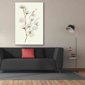 'Summer Cotton I' by Chris Paschke, Giclee Canvas Wall Art,40 x 60
