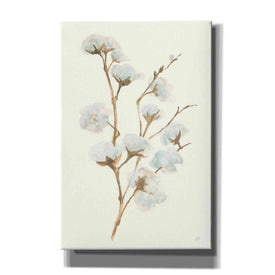 'Summer Cotton I' by Chris Paschke, Giclee Canvas Wall Art