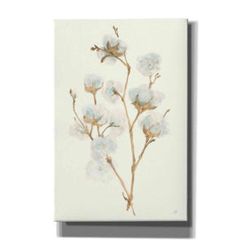 'Summer Cotton II' by Chris Paschke, Giclee Canvas Wall Art
