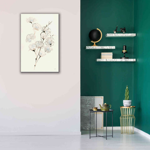 Image of 'Summer Cotton III' by Chris Paschke, Giclee Canvas Wall Art,26 x 40