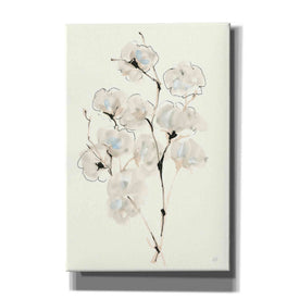 'Summer Cotton IV' by Chris Paschke, Giclee Canvas Wall Art