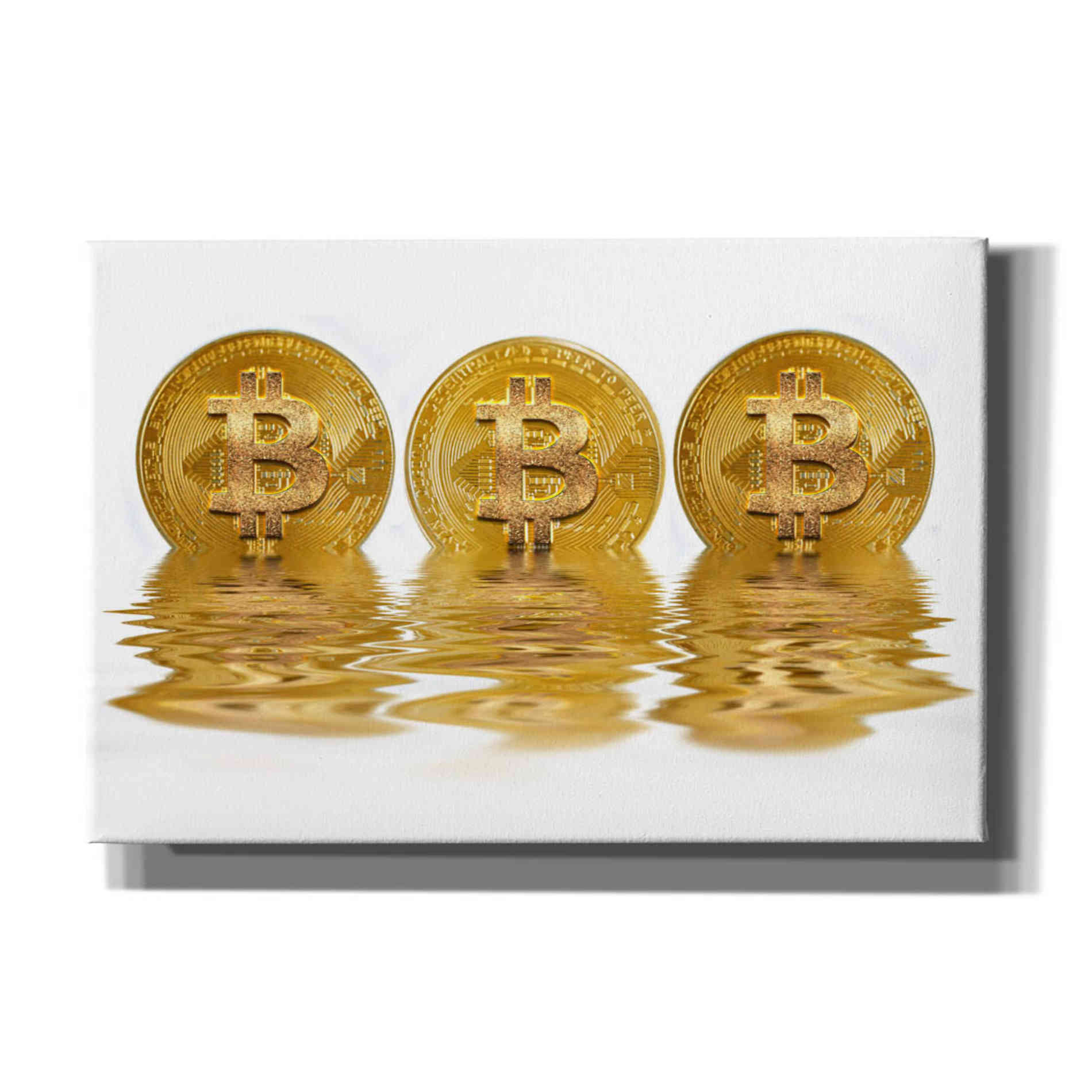 'Liquid Gold' by Andrea Haase, Giclee Canvas Wall Art