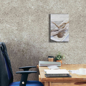 'Zen Style Driftwood Seashell Still' by Andrea Haase, Giclee Canvas Wall Art,12 x 18