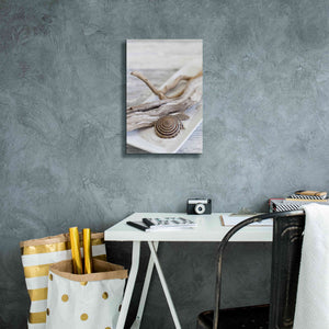 'Zen Style Driftwood Seashell Still' by Andrea Haase, Giclee Canvas Wall Art,12 x 18
