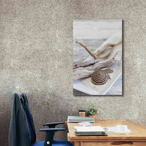 'Zen Style Driftwood Seashell Still' by Andrea Haase, Giclee Canvas Wall Art,26 x 40