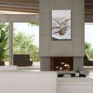 'Zen Style Driftwood Seashell Still' by Andrea Haase, Giclee Canvas Wall Art,26 x 40