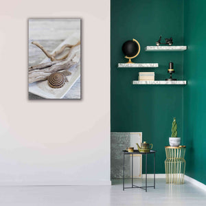 'Zen Style Driftwood Seashell Still' by Andrea Haase, Giclee Canvas Wall Art,26 x 40