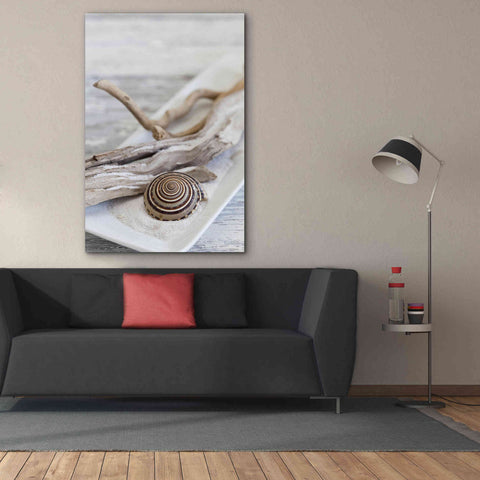 Image of 'Zen Style Driftwood Seashell Still' by Andrea Haase, Giclee Canvas Wall Art,40 x 60