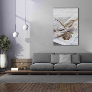 'Zen Style Driftwood Seashell Still' by Andrea Haase, Giclee Canvas Wall Art,40 x 60