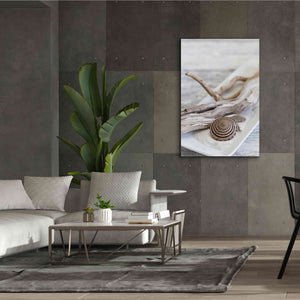 'Zen Style Driftwood Seashell Still' by Andrea Haase, Giclee Canvas Wall Art,40 x 60