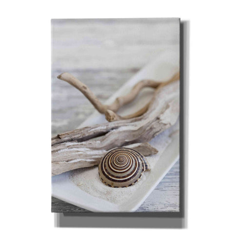 Image of 'Zen Style Driftwood Seashell Still' by Andrea Haase, Giclee Canvas Wall Art