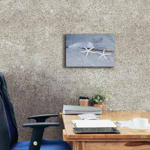 'Starfish Feather Beach Still' by Andrea Haase, Giclee Canvas Wall Art,18 x 12