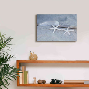 'Starfish Feather Beach Still' by Andrea Haase, Giclee Canvas Wall Art,18 x 12