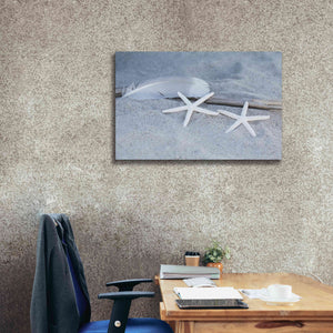 'Starfish Feather Beach Still' by Andrea Haase, Giclee Canvas Wall Art,40 x 26