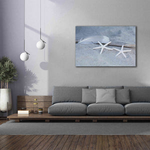 'Starfish Feather Beach Still' by Andrea Haase, Giclee Canvas Wall Art,60 x 40