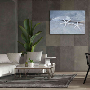 'Starfish Feather Beach Still' by Andrea Haase, Giclee Canvas Wall Art,60 x 40