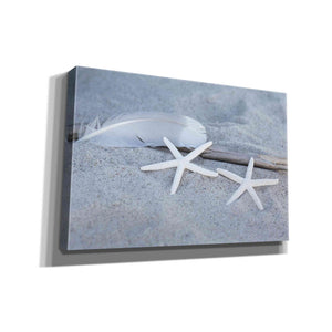 'Starfish Feather Beach Still' by Andrea Haase, Giclee Canvas Wall Art