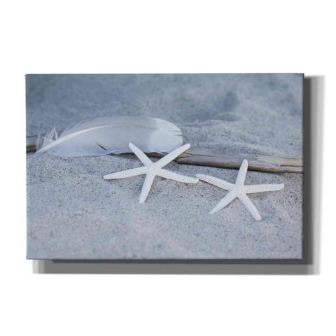Image of 'Starfish Feather Beach Still' by Andrea Haase, Giclee Canvas Wall Art