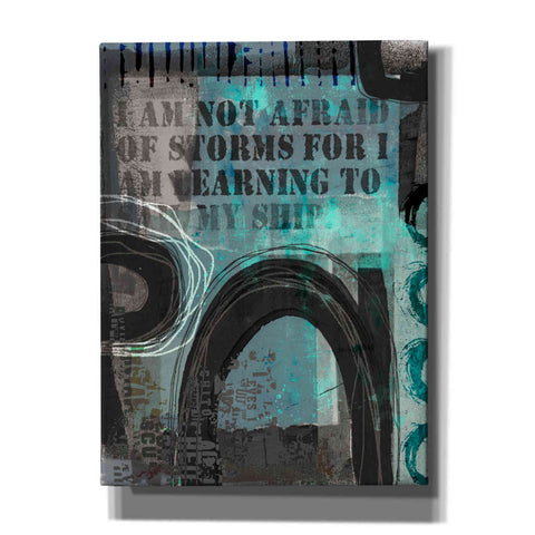 Image of 'Not Afraid Of Storms' by Andrea Haase, Giclee Canvas Wall Art