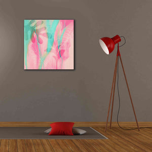 'Tropical Dream' by Andrea Haase, Giclee Canvas Wall Art,26 x 26