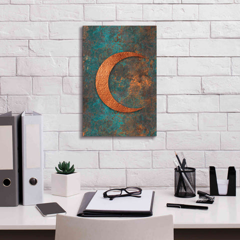 Image of 'Moon Symbiosis Of Rust And Copper' by Andrea Haase, Giclee Canvas Wall Art,12 x 18