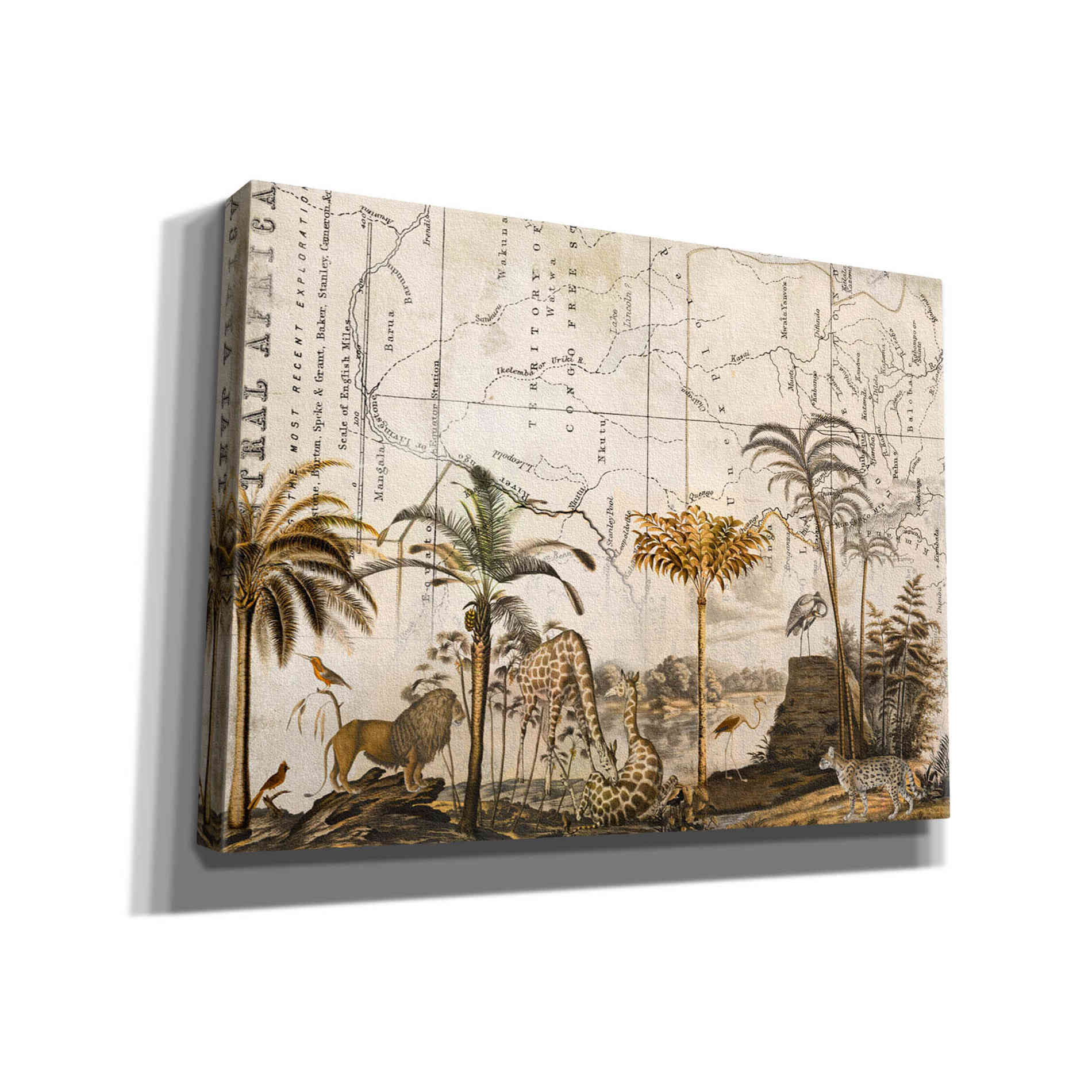 'Wild Animals Paradise Brown' by Andrea Haase Giclee Canvas Wall Art