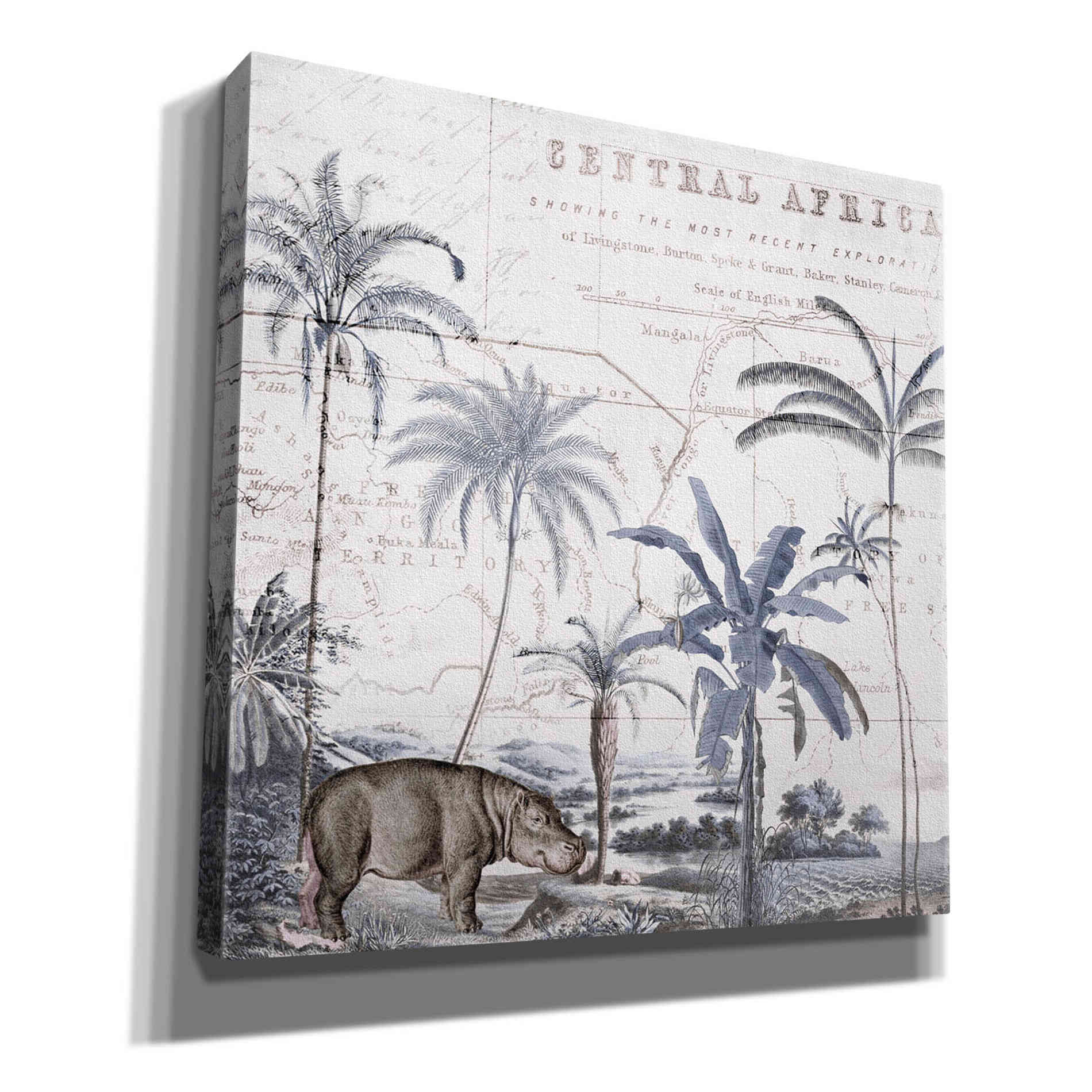 'Hippo Adventure' by Andrea Haase Giclee Canvas Wall Art